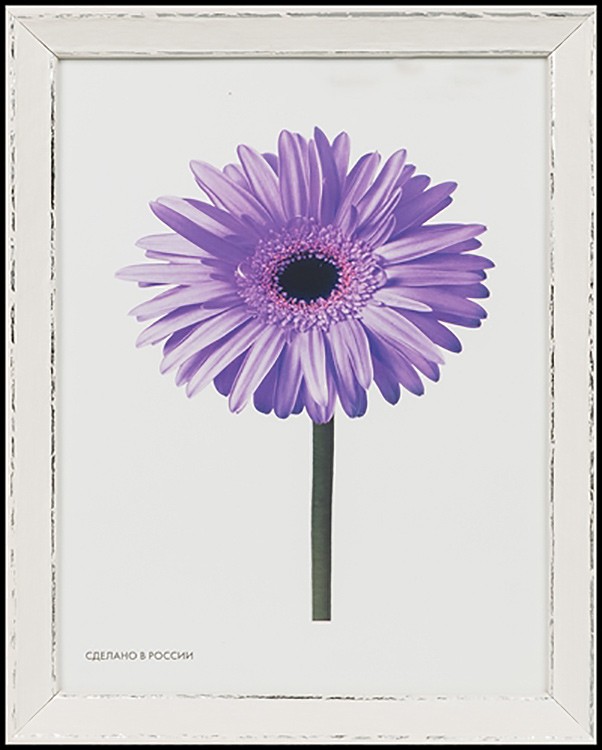 Рамка для картин «Viola» белая, 15x20 см — картинка 4