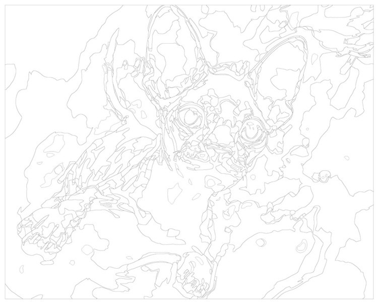 Картина по номерам «Котенок сфинкс» — картинка 3