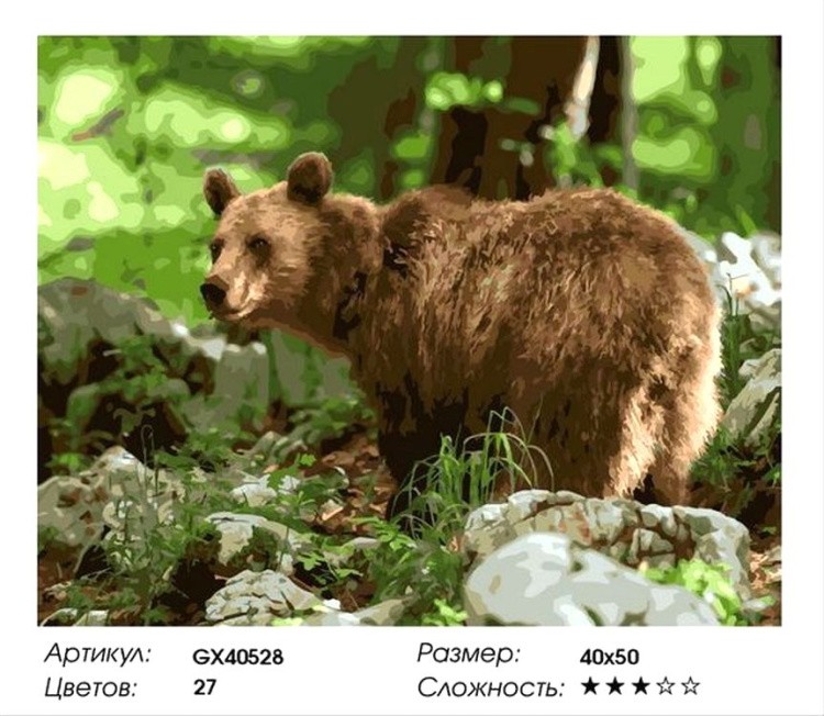 Картина по номерам «Медведь в лесу» — картинка 2