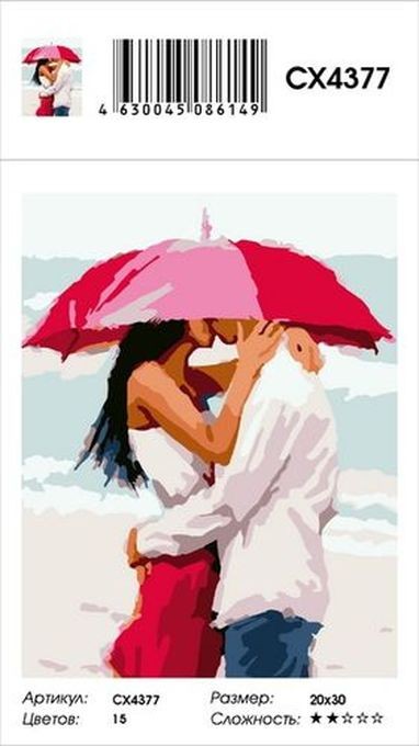 Картина по номерам «Пара под зонтом» — картинка 2