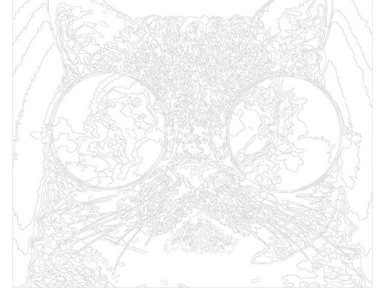 Картина по номерам «Базилио» — картинка 3