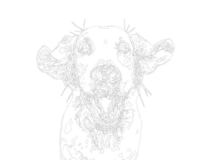 Картина по номерам «Шелли» — картинка 3