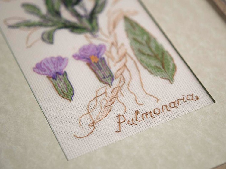 Набор для вышивания «Пульмонария» — картинка 3