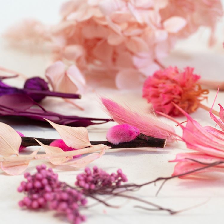 Набор сухоцветов синий, Artline — картинка 2