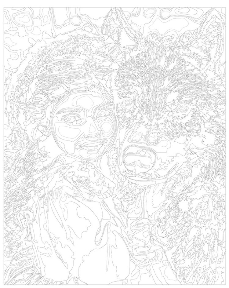 Картина по номерам Девочка Красная шапочка и волк — картинка 3