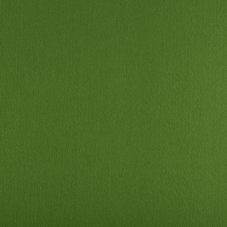 Фетр декоративный, жесткий, 1,2 мм, 33х53 см ± 2 см, 1 шт., цвет: 865 светло-зеленый, Gamma
