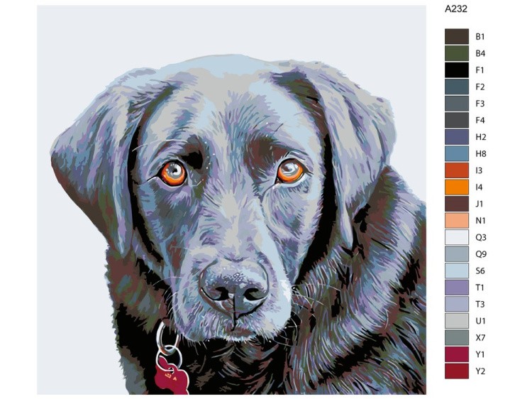 Картина по номерам «Лабрадор» — картинка 2