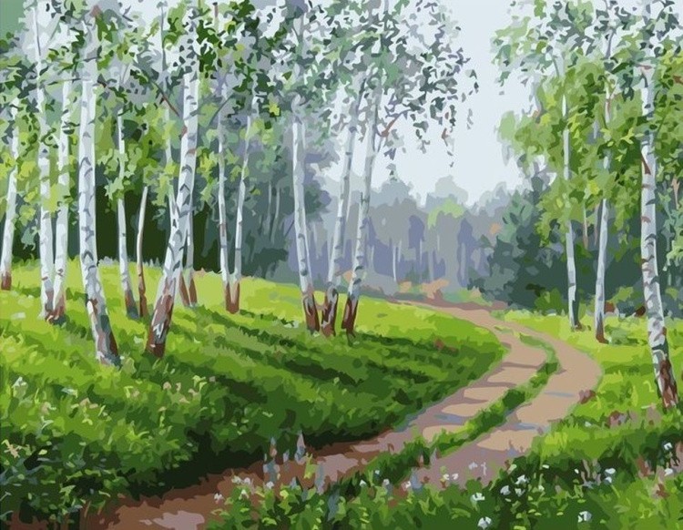 Картина по номерам «Дорога в берёзовом лесу»