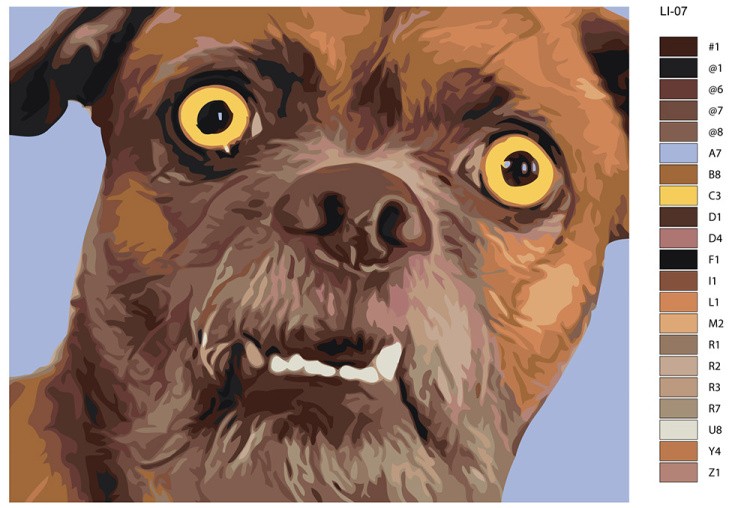 Картина по номерам «Смешная собака» — картинка 2