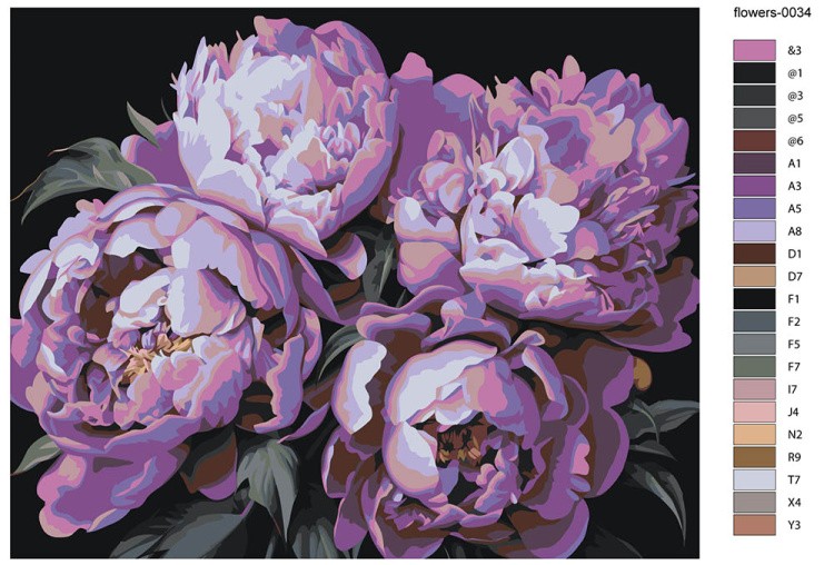 Картина по номерам «Цветы: Грациозные фиолетовые пионы» — картинка 2