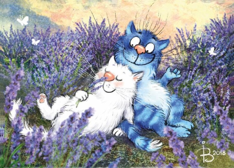 Картина по номерам «Коты в лаванде»