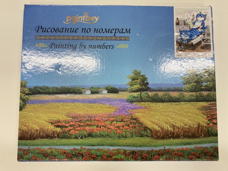 УЦЕНКА. Картина по номерам «Вакцинация» (порвана коробка) — картинка 2