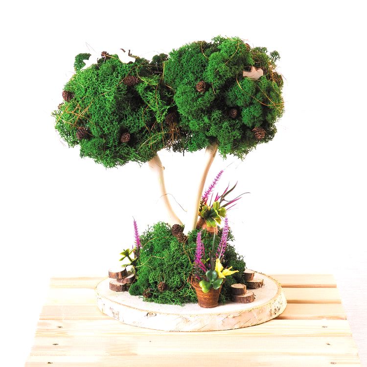 Мох стабилизированный окрашенный, 50 г ± 5 г, цвет: №01 салатовый, Blumentag — картинка 2