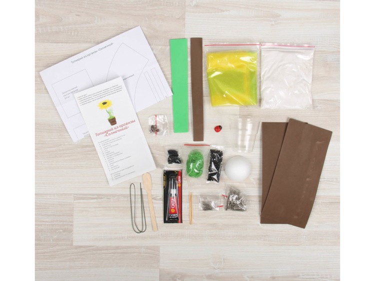 Набор для создания топиария «Солнечный» — картинка 2