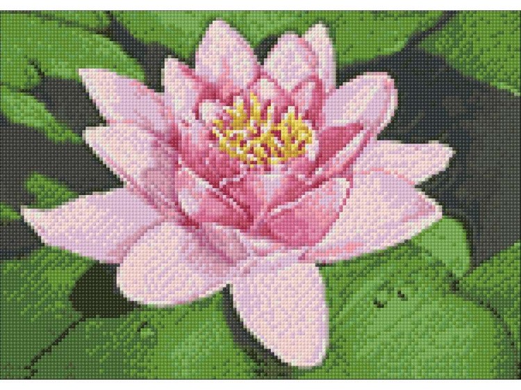 Алмазная вышивка «Лотос на озере» — картинка 3