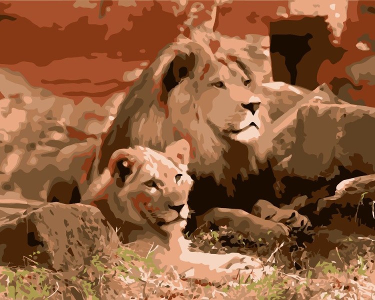 Картина по номерам «Львы на отдыхе»