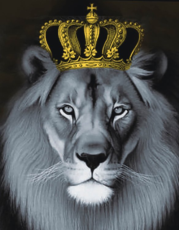 Алмазная вышивка «Лев с золотой короной»