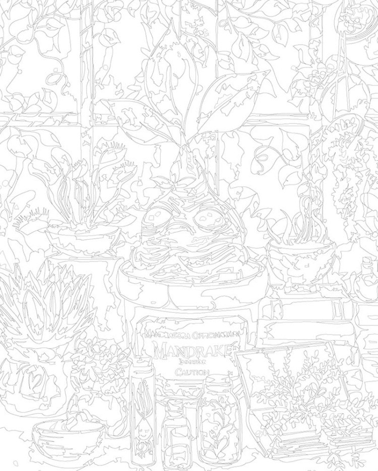 Картина по номерам «Гарри Поттер: Мандрагора арт, Хогвартс» — картинка 3