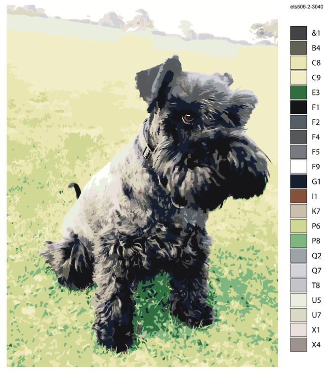 Картина по номерам «Цвергшнауцер» — картинка 2