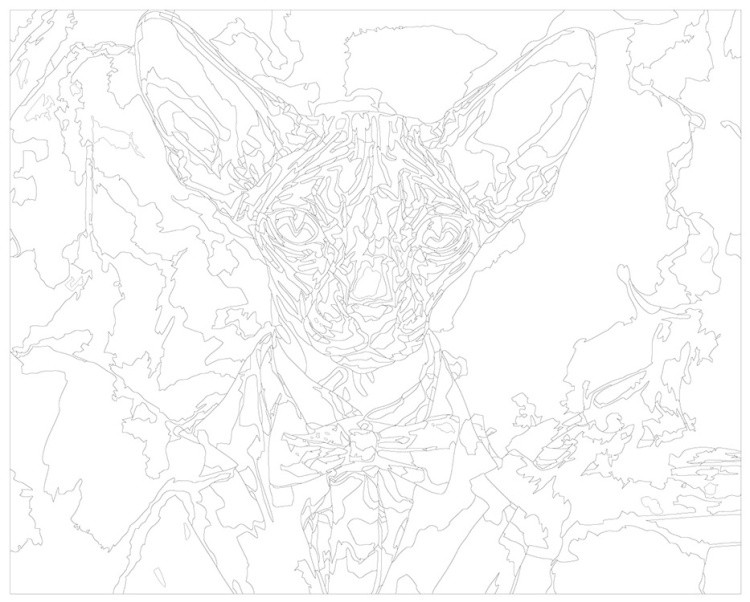 Картина по номерам «Кот сфинкс с бабочкой» — картинка 3