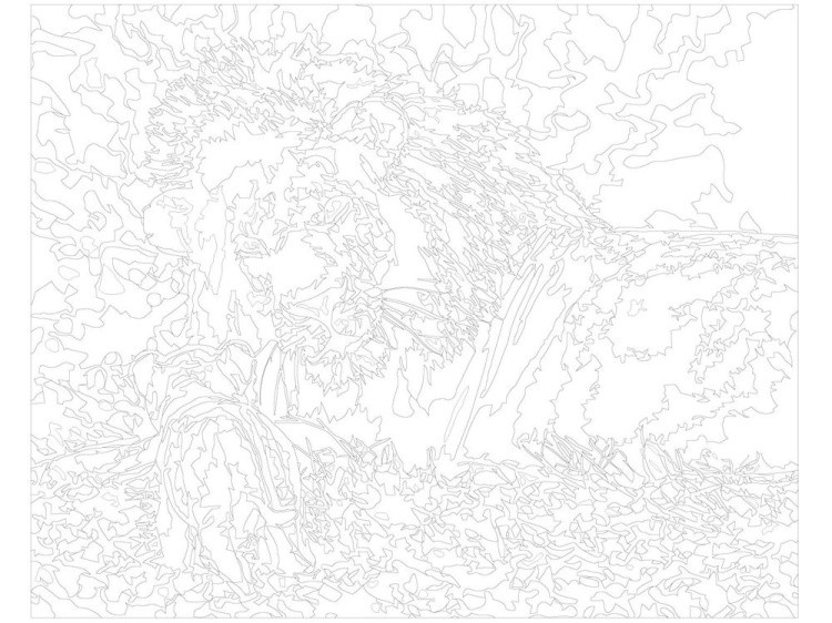 Картина по номерам «Львёнок и лев» — картинка 3