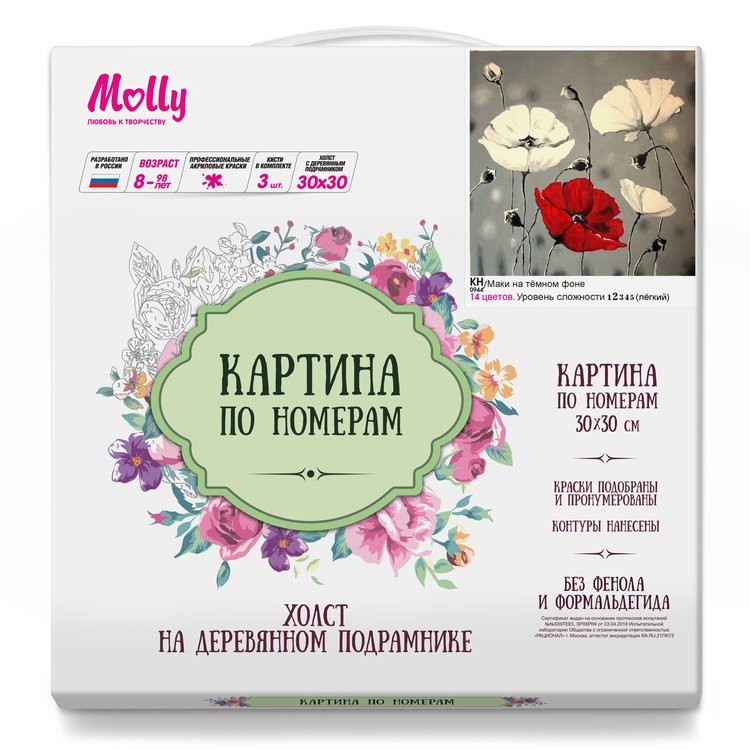 Картина по номерам «Маки на тёмном фоне» — картинка 2