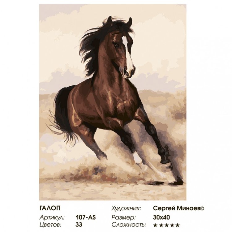 Картина по номерам «Галоп» — картинка 2