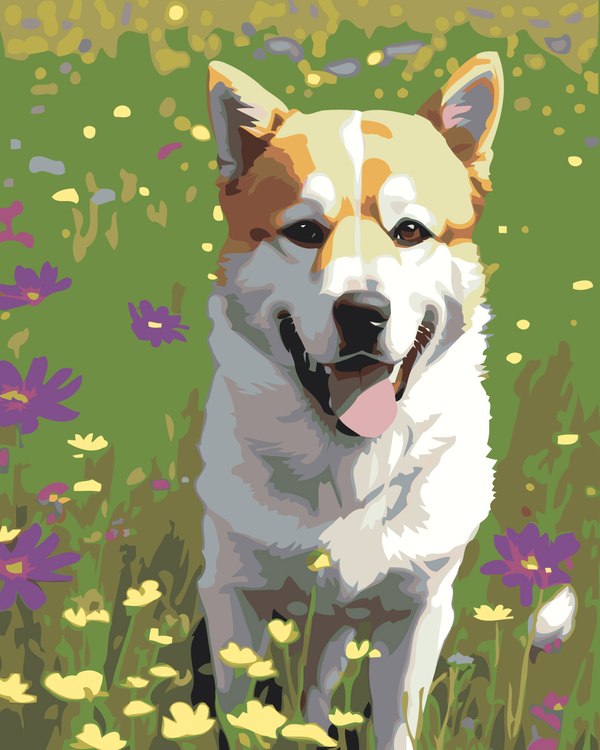 Картина по номерам «Собака в поле»