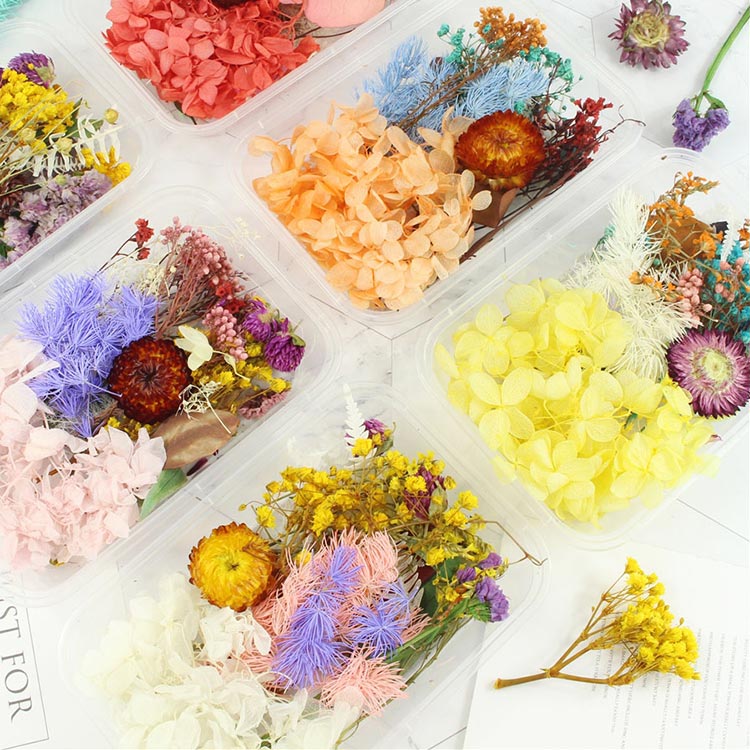 Набор сухоцветов, 1 упаковка — картинка 9