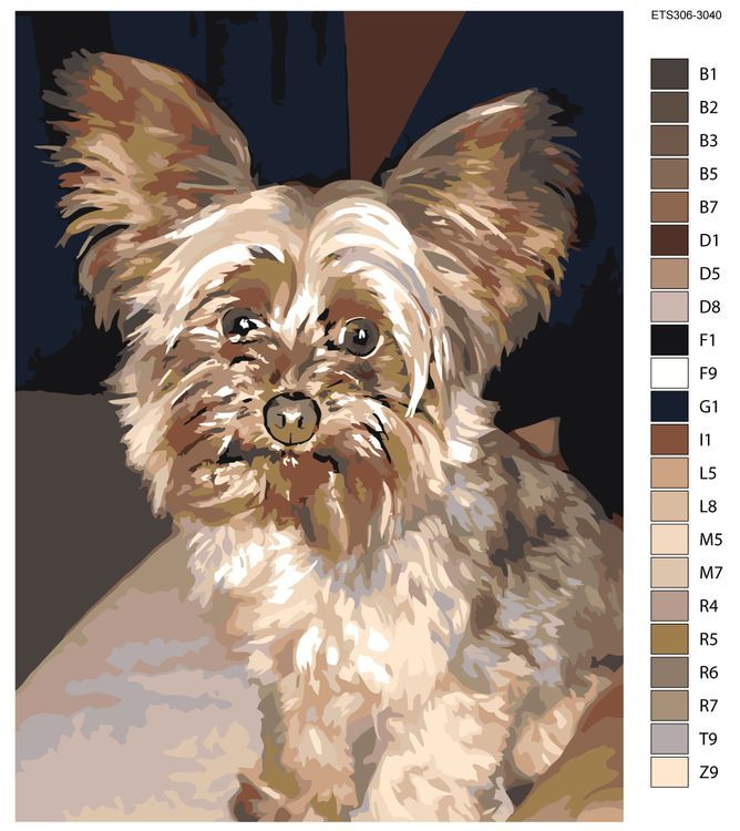 Картина по номерам «Йорк» — картинка 2