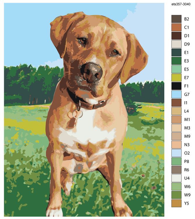 Картина по номерам «Взгляд» — картинка 2