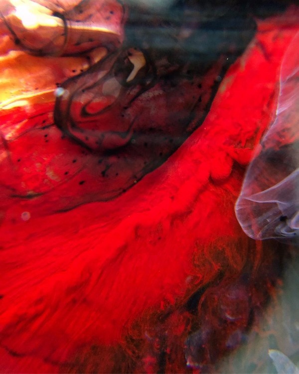 Краска для Петри Черная ночь 5 мл, Kamenskaya Ink — картинка 3