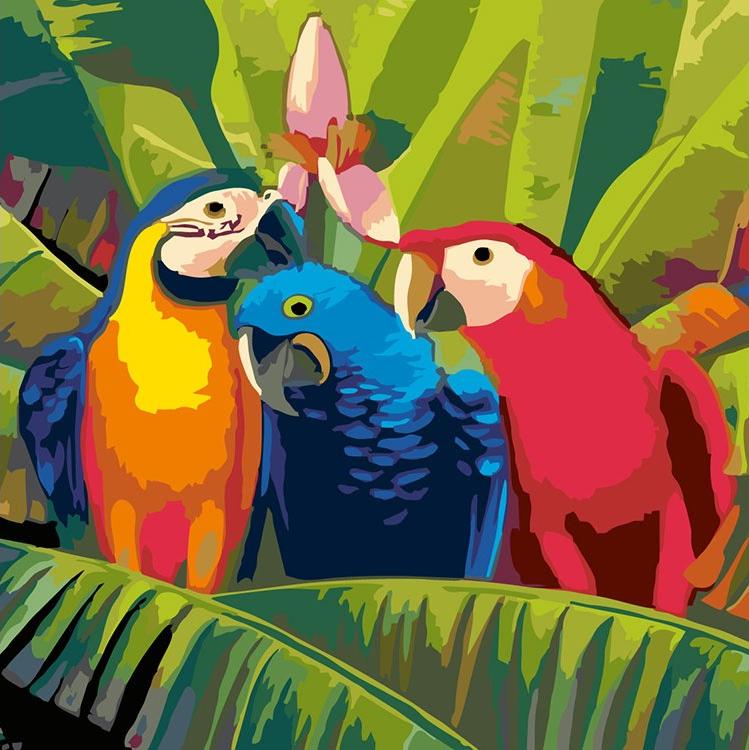 Картина по номерам «Семейка попугаев»