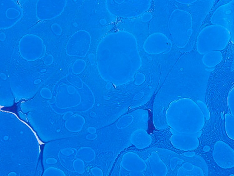 Краска для эбру синяя 30 мл, Karin — картинка 4