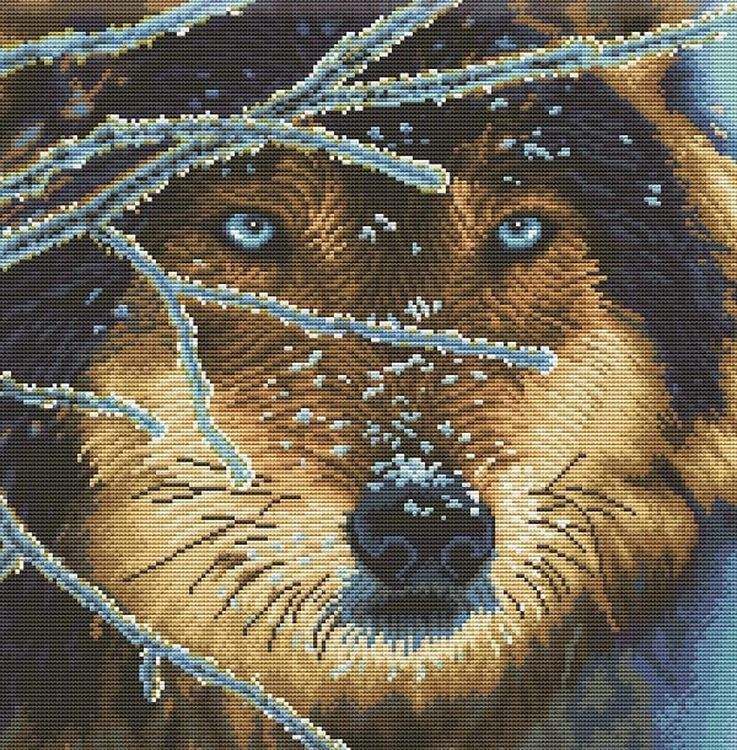 Набор для вышивания «Взгляд волка»