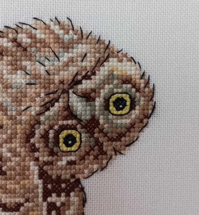 Набор для вышивания «Воробьиный сычик» — картинка 2