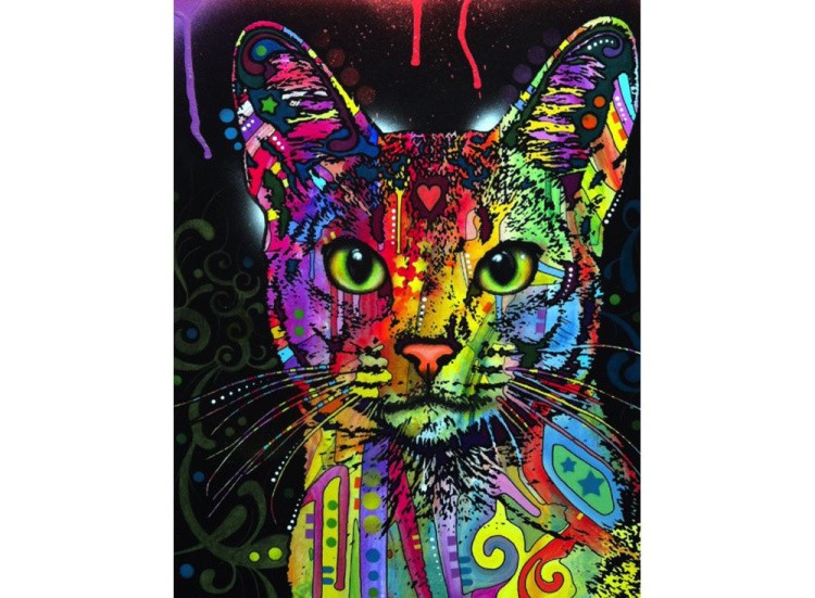 Картина по номерам «Абиссинский кот» — картинка 2