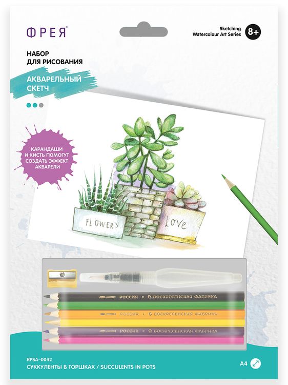 Скетч для раскрашивания акварельными карандашами «Суккуленты в горшках» — картинка 3