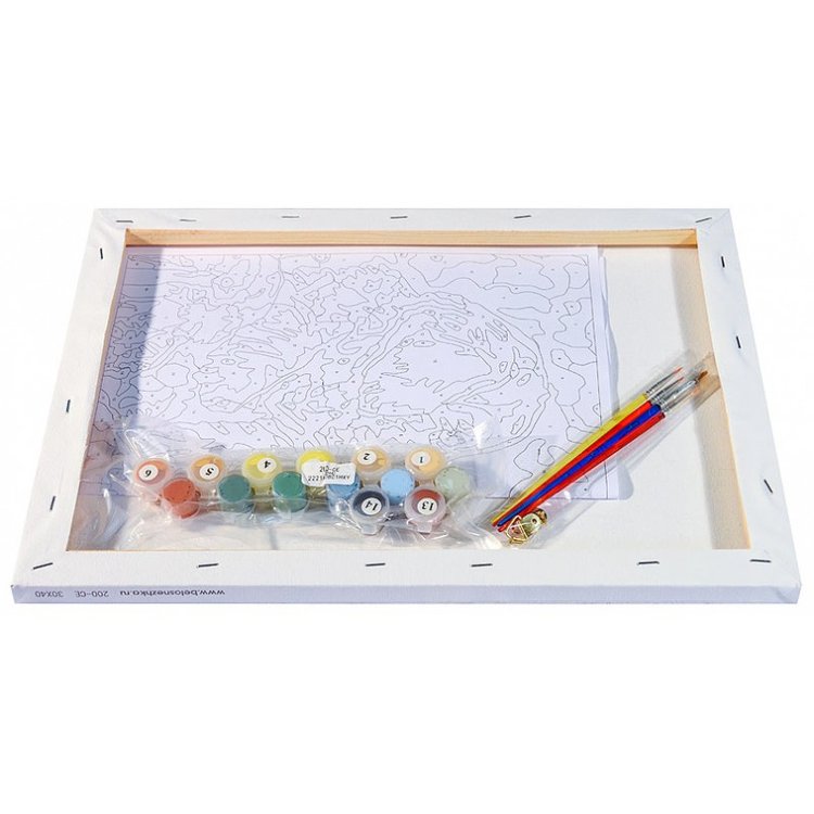 Картина по номерам «Знакомство» — картинка 3