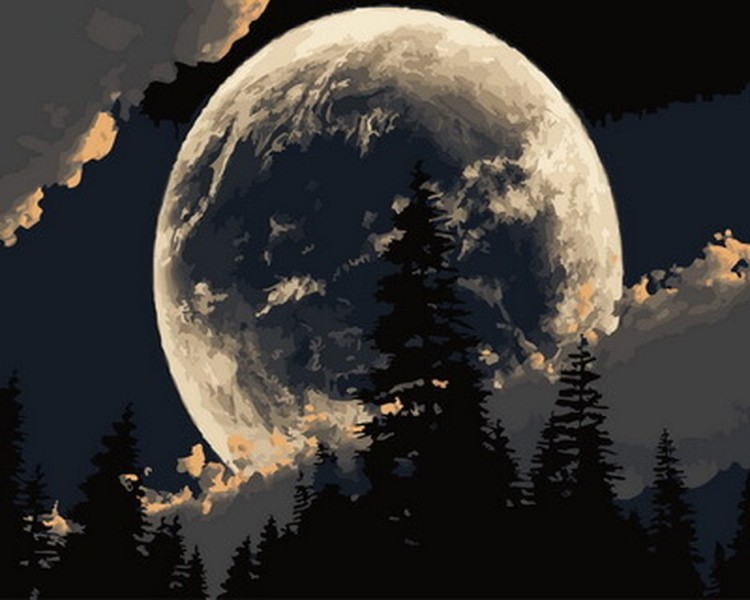 Картина по номерам «Сказочная луна»
