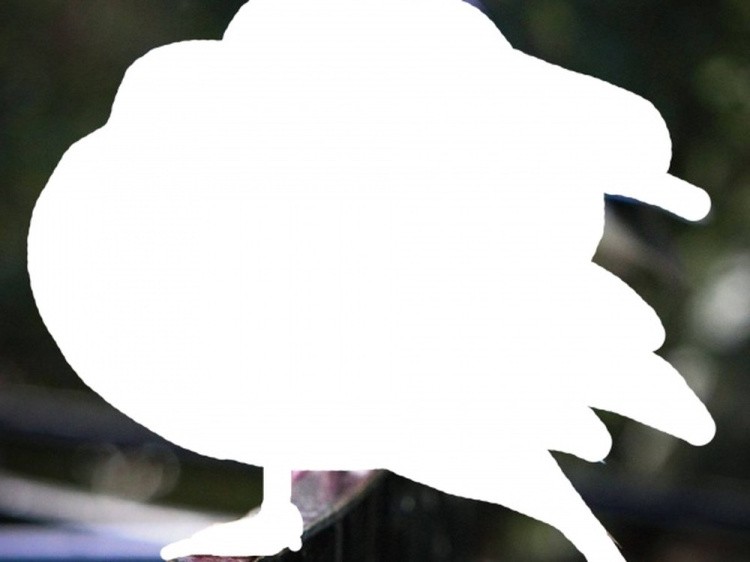 Алмазная вышивка «Мандариновое трио» — картинка 2