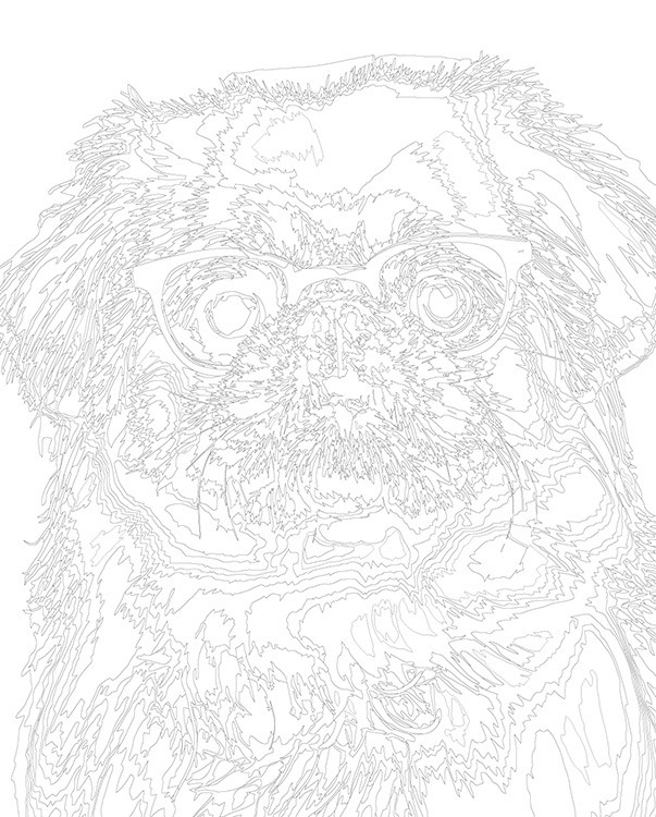 Картина по номерам «Собака Пекинес в очках» — картинка 3