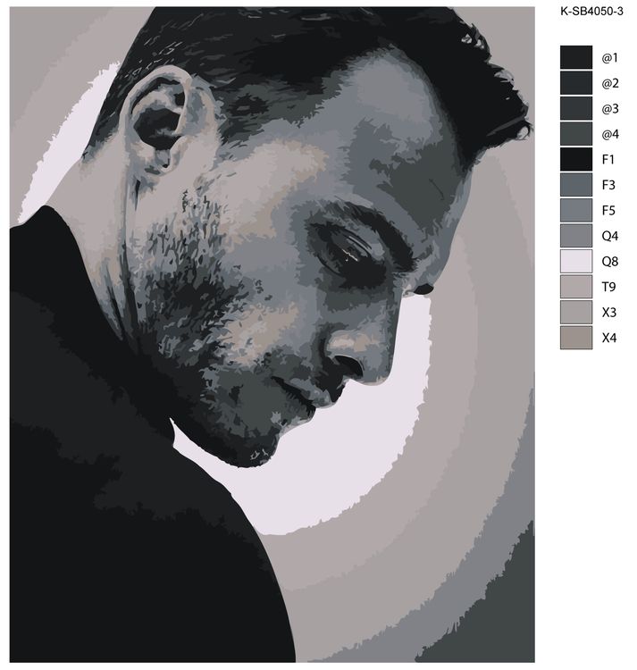 Картина по номерам «Серкан Болат» — картинка 2