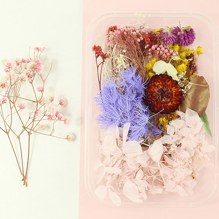 Набор сухоцветов, 1 упаковка — картинка 8