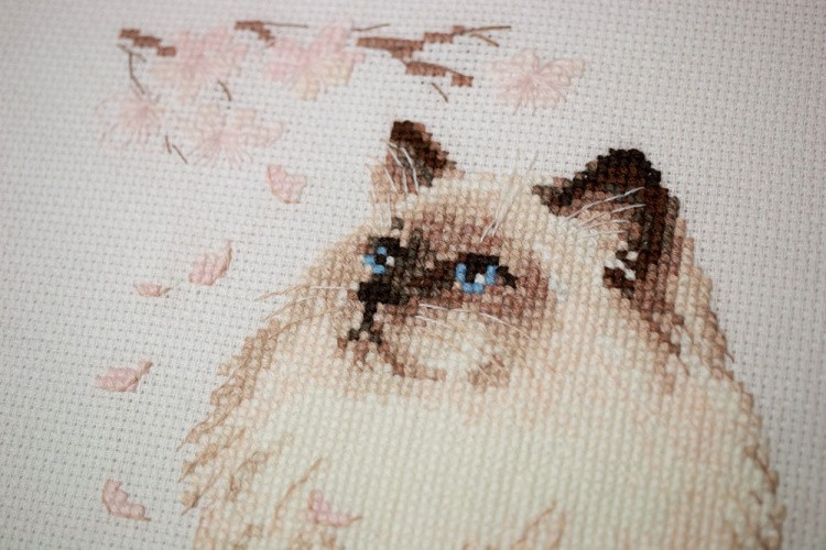 Набор для вышивания «Мяу-дзен» — картинка 4