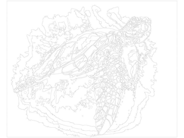 Картина по номерам «Морская черепаха» — картинка 3