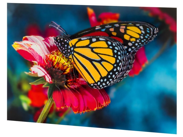 Папертоль «Бабочка на гербере» — картинка 2