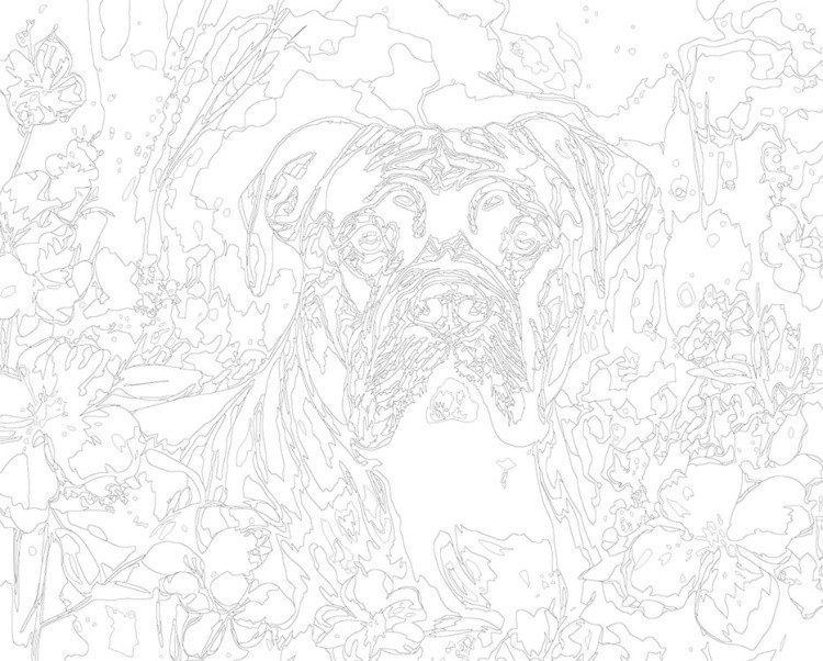 Картина по номерам «Собака Кане корсо в цветах» — картинка 3