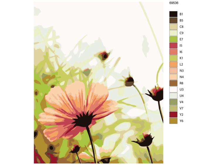 Картина по номерам «Полевые цветы» — картинка 2