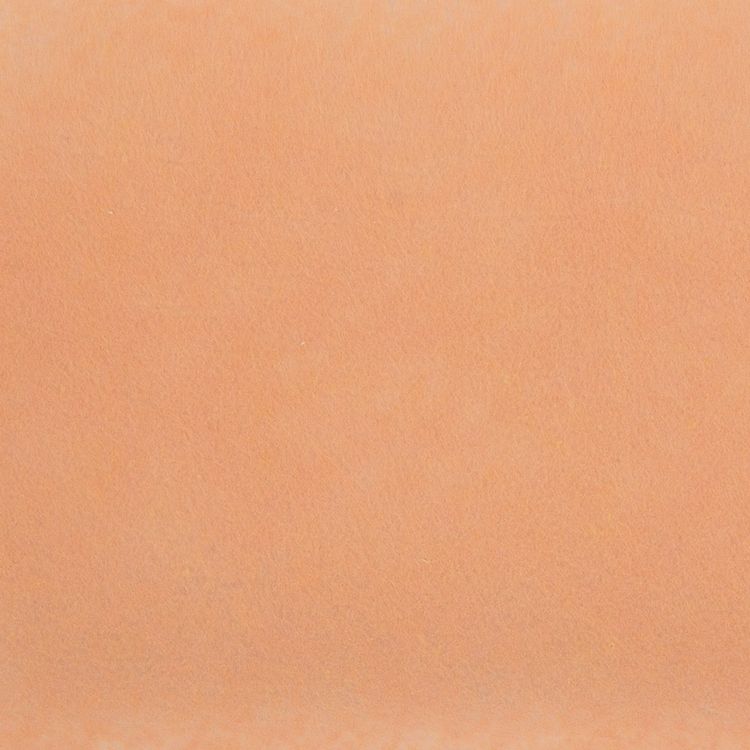 Фетр декоративный, жесткий, 1 мм, 20х30 см ± 0,2 см, 5 шт., цвет: №CH658 бледно-розовый, Blitz
